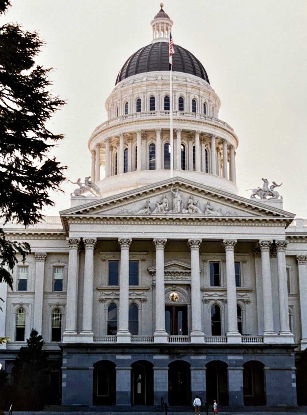 The image shows the front view of a large government building featuring a prominent dome topped with a flag. The architecture includes columns, intricate sculptures, and large windows. Two small figures are visible in front of the building, with trees partially framing the scene.