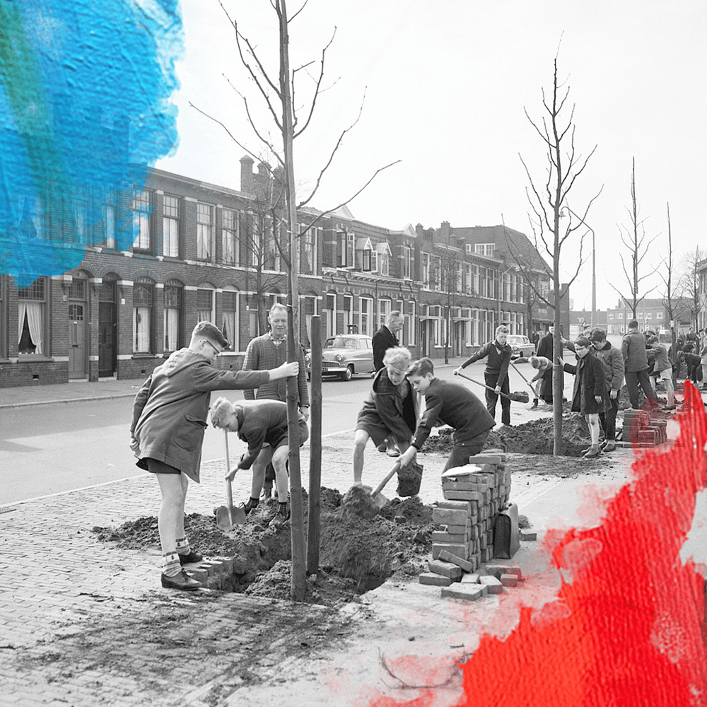 Foto: Harry Pot (1960). Gedownload en bewerkt door MooierMens.app 20-01-2021. https://commons.wikimedia.org/wiki/File:Boomplantdag_in_Haarlem,_platen_op_het_Teijlerplein,_Bestanddeelnr_911-1533.jpg