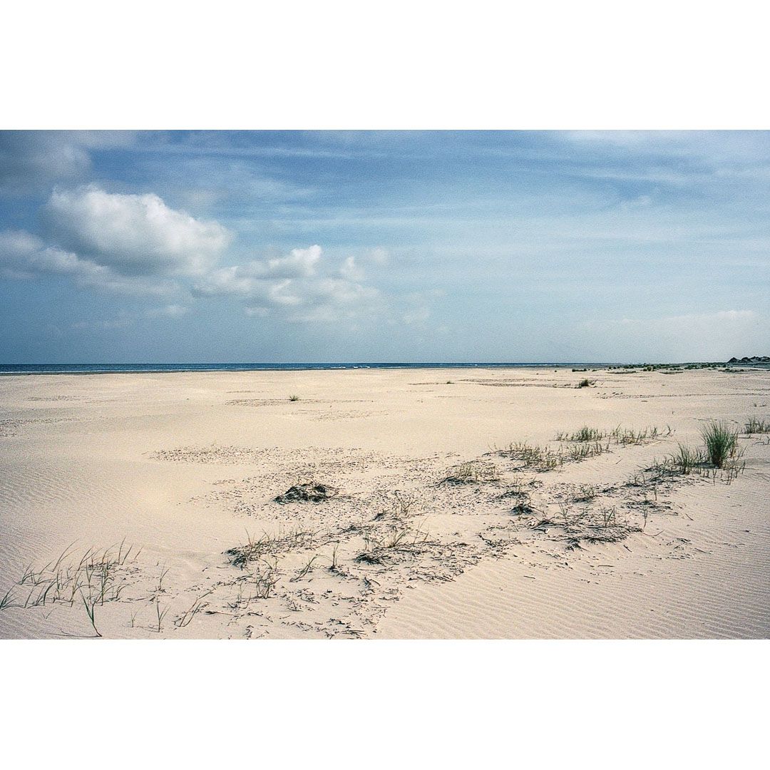 Colour photo of the North Sea beach and dunes under a cloudy North Sea sky on the Wadden Sea island Schiermonnikoog in The Netherlands, taken during a Wadden Sea coast hike in August 2025.