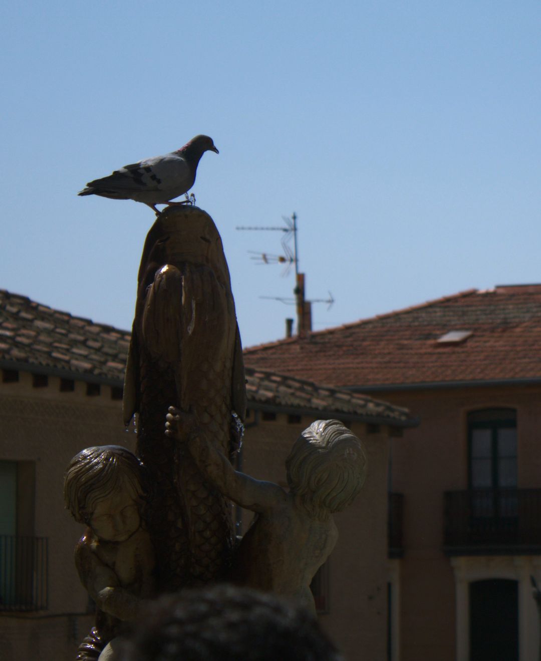 A pigeon on top of a fountain in the shape of a long carp, held by two cherubs.