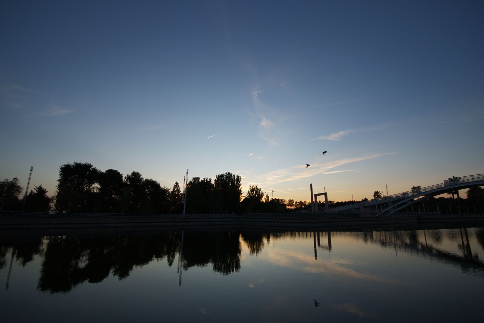 Wide angle picture taken just before sunrise at a park. The lower third of the photo is a large body of water, showing the reflection of the trees and structures above. A white bridge can be seen on the right, as well as an arch close to the source of light. The sky occupies two thirds of the picture, with characteristic light blues and yellow tones signifying that the sun is about to appear. Two birds are flying above water, and their reflection can also be seen below.