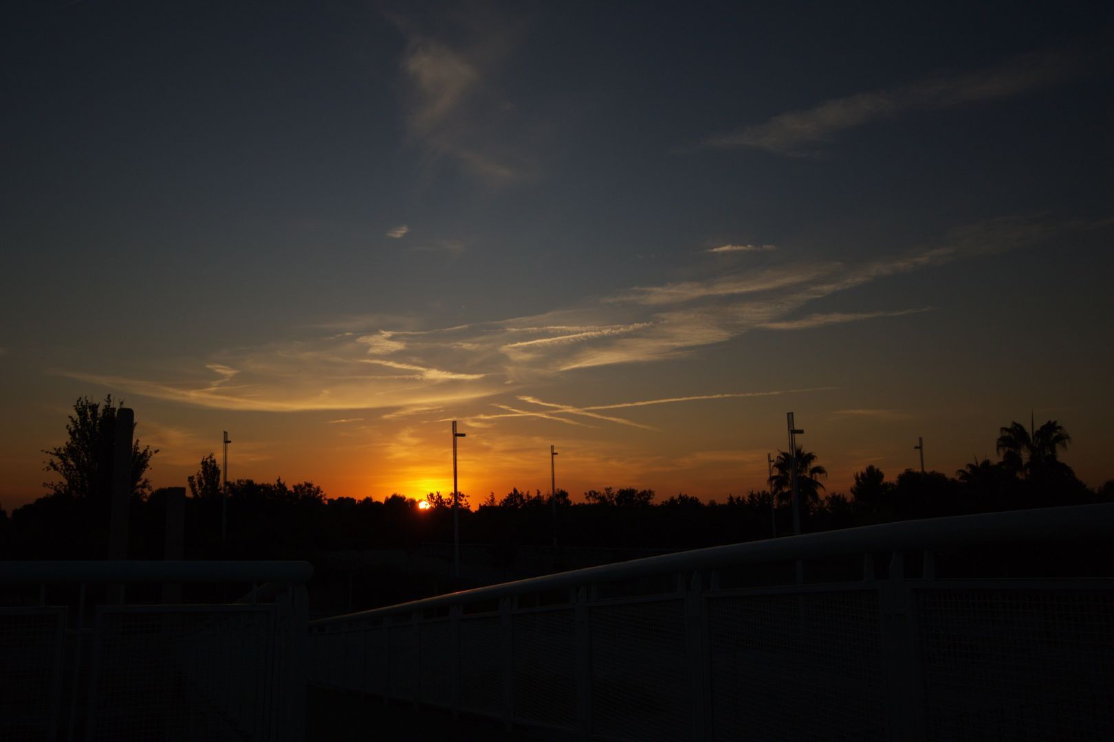 The sunrise. There's a lot of contrast between the foreground, which is almost pitch black, and the background, which depicts the sun starting to rise, with some very faint clouds above. The silhouettes of trees and a bridge's handrail can be seen on the lower part of the picture. The colours are typical of a sunrise, with an intense orange close to the sun on a color gradient to a dark blue on the edges.